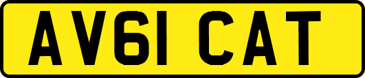 AV61CAT