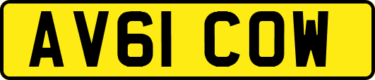 AV61COW