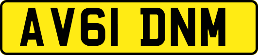 AV61DNM