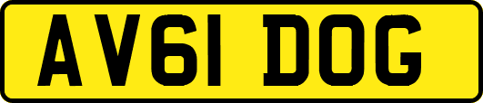 AV61DOG