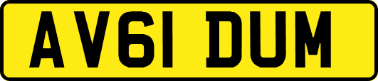 AV61DUM