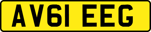 AV61EEG