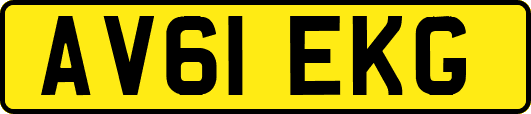 AV61EKG