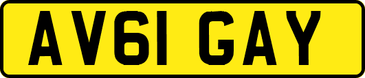 AV61GAY
