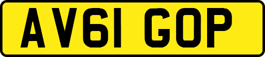 AV61GOP