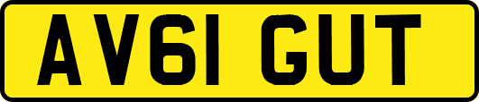 AV61GUT