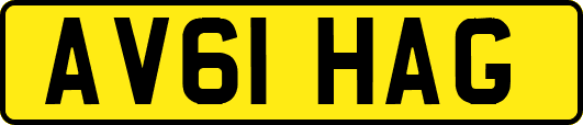 AV61HAG