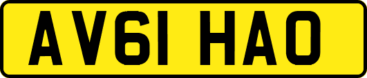 AV61HAO