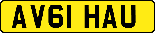 AV61HAU