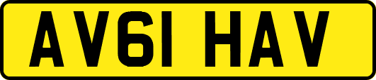 AV61HAV