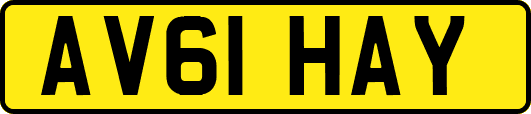 AV61HAY