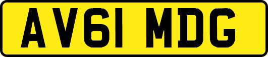 AV61MDG