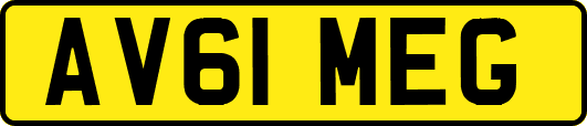 AV61MEG
