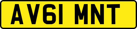 AV61MNT