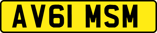 AV61MSM