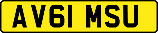 AV61MSU