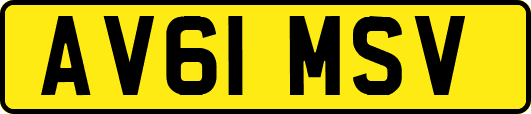 AV61MSV