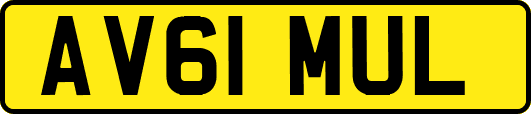 AV61MUL