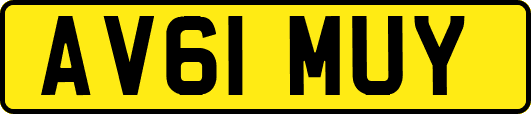 AV61MUY