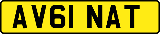 AV61NAT