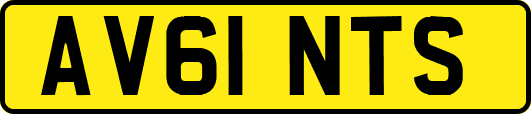 AV61NTS