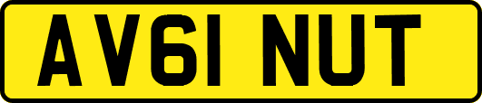 AV61NUT