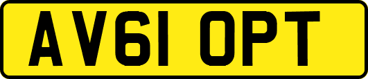 AV61OPT