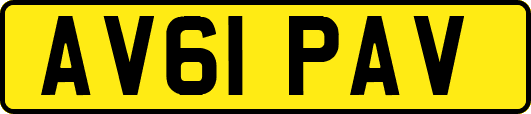 AV61PAV