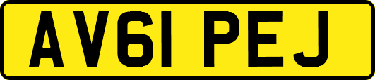 AV61PEJ