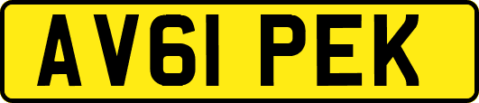 AV61PEK