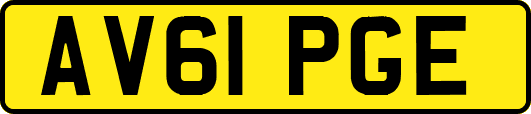 AV61PGE