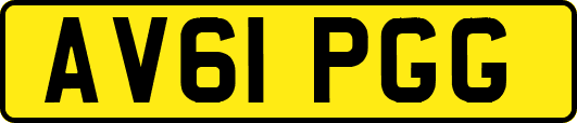 AV61PGG