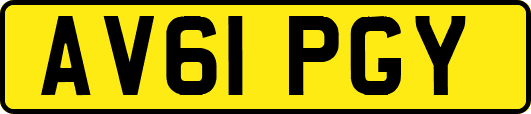 AV61PGY