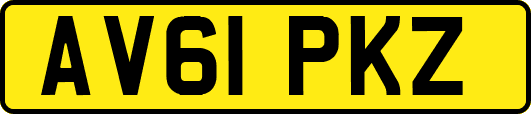 AV61PKZ