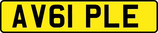 AV61PLE