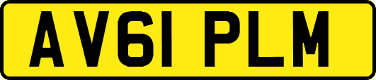 AV61PLM