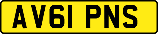AV61PNS