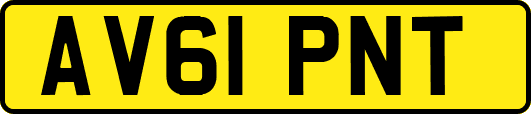 AV61PNT