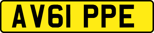 AV61PPE