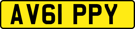AV61PPY