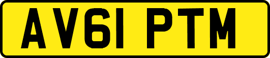 AV61PTM