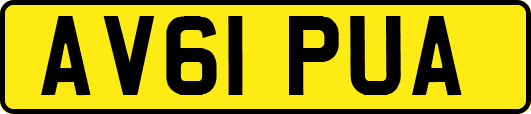 AV61PUA