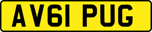 AV61PUG
