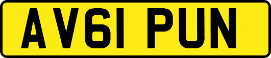 AV61PUN