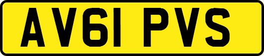 AV61PVS