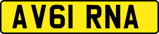 AV61RNA