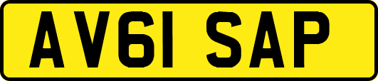 AV61SAP
