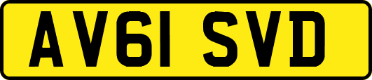AV61SVD