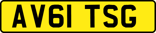 AV61TSG