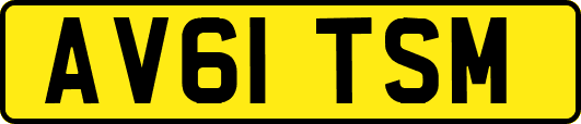 AV61TSM